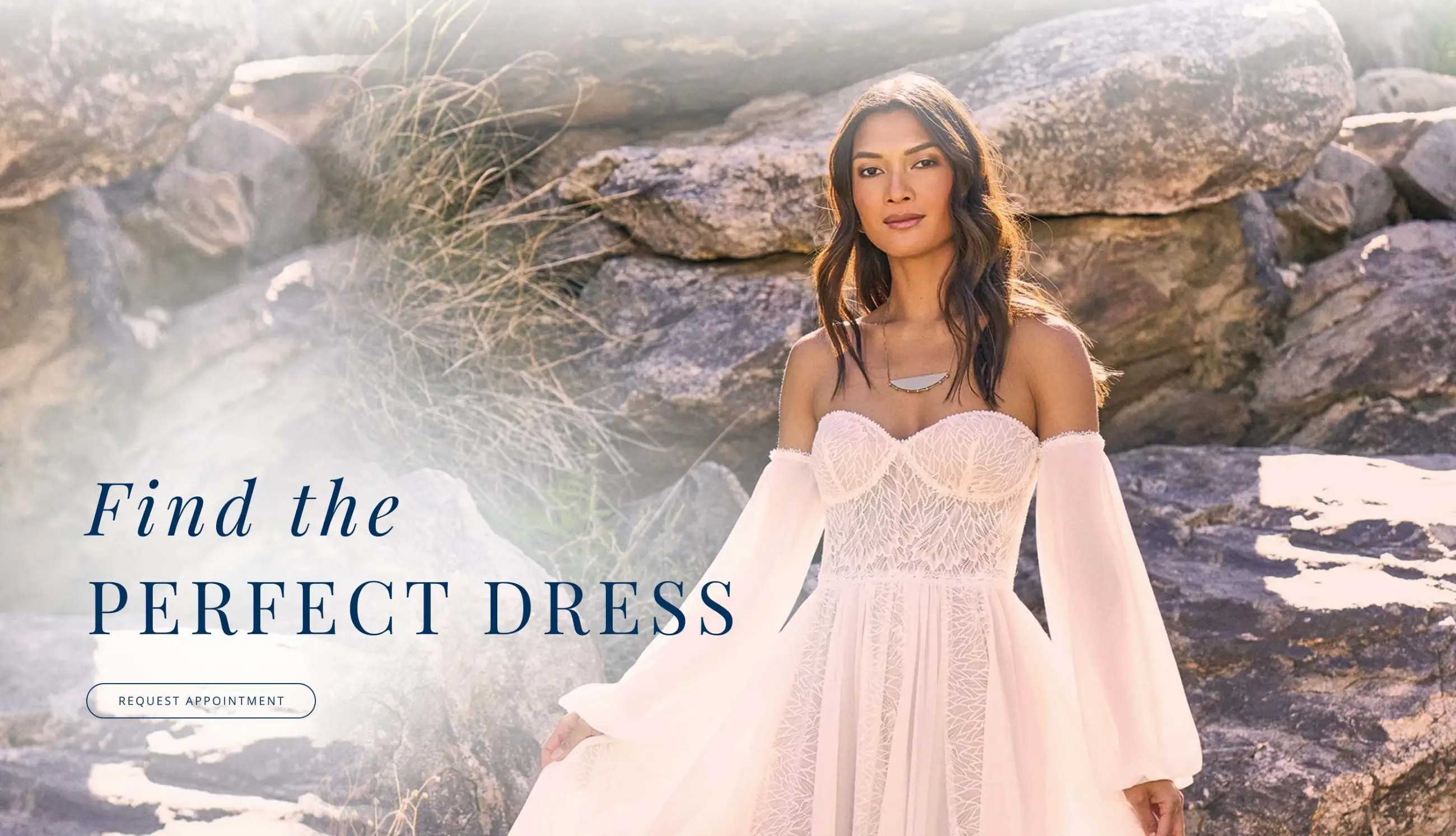 Desktop Find the Perfect Dress Banner