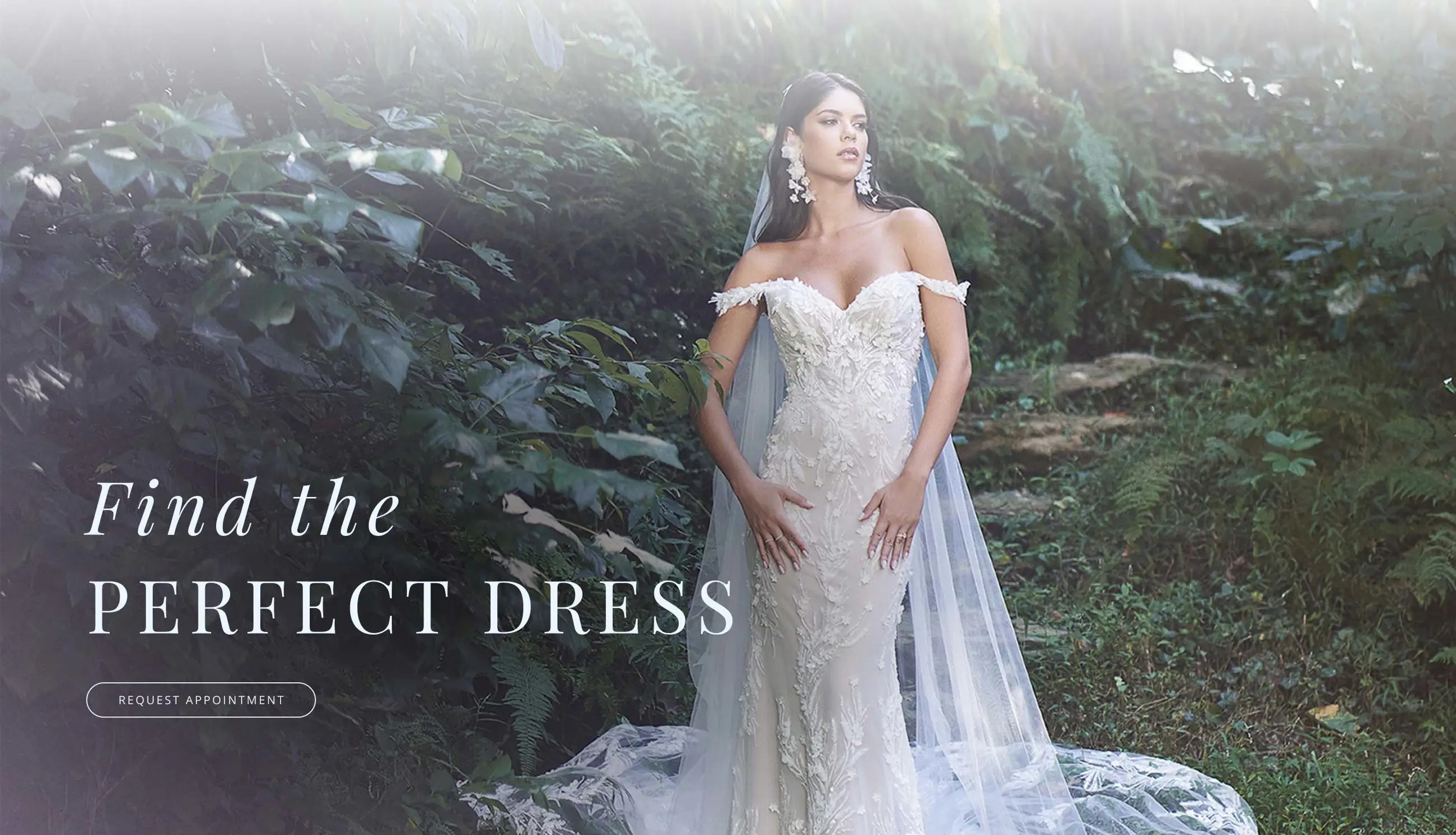 Find the perfect dress